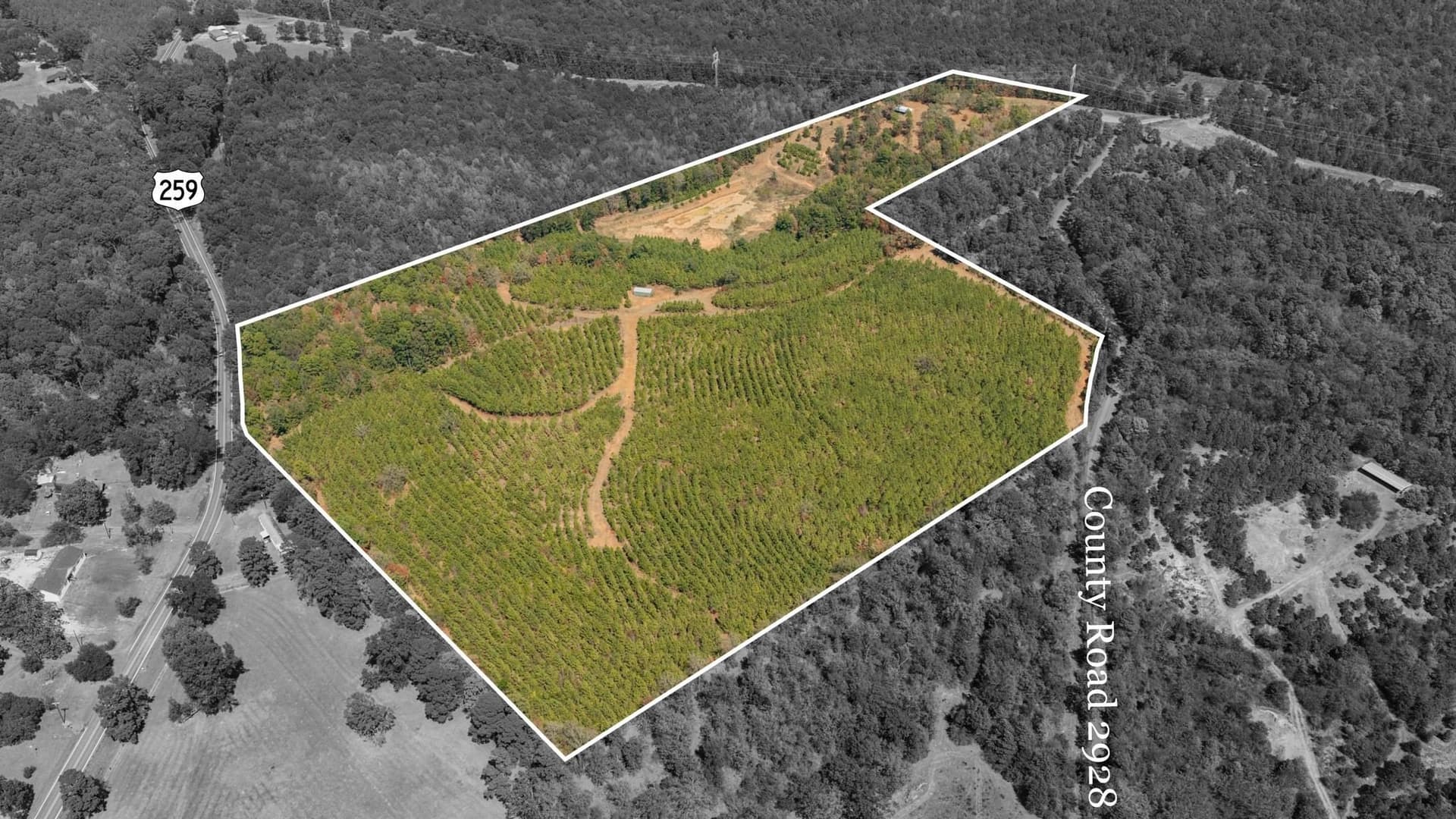 37.11 acres in Cass County - photo 34