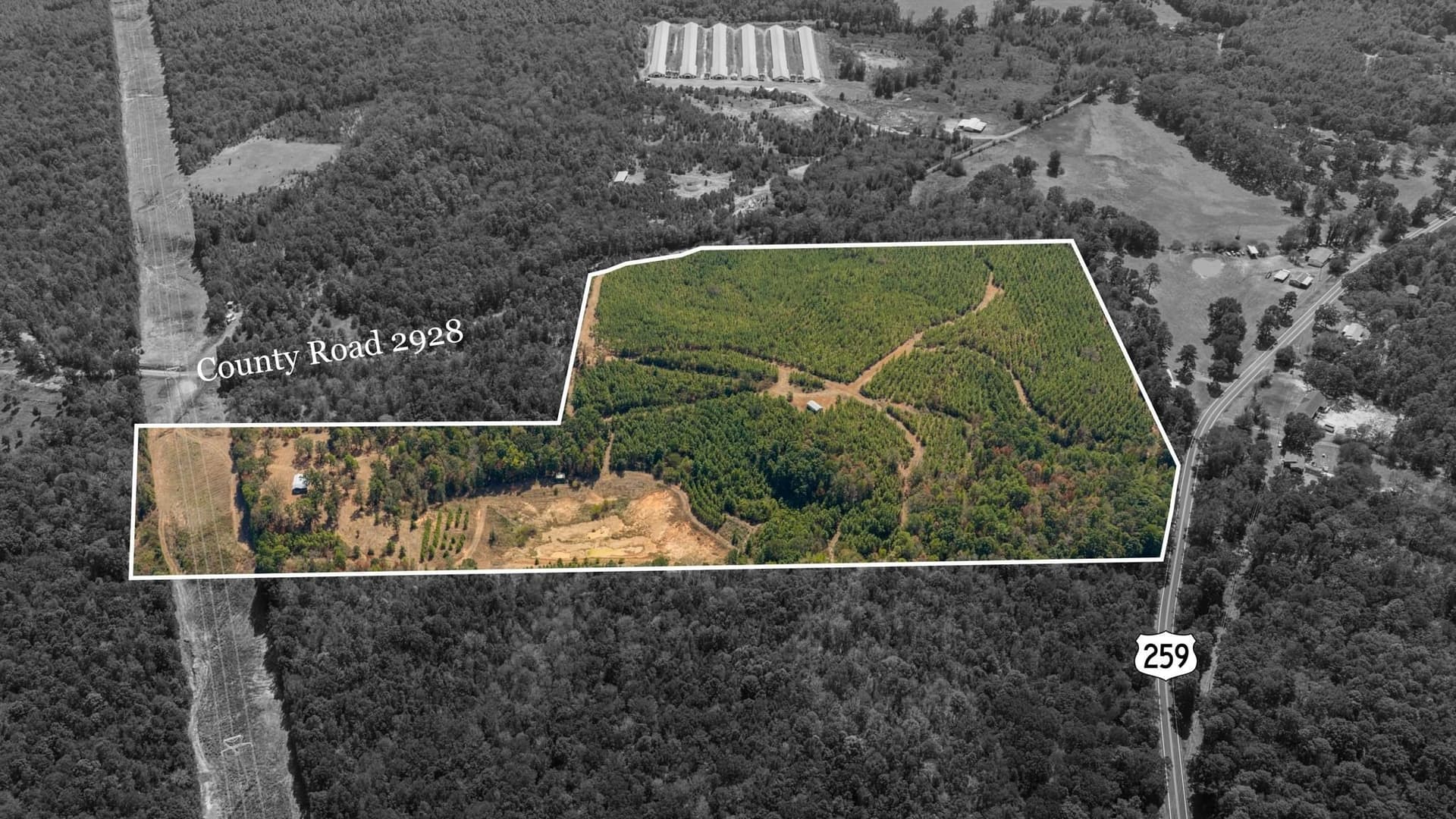 37.11 acres in Cass County - photo 8