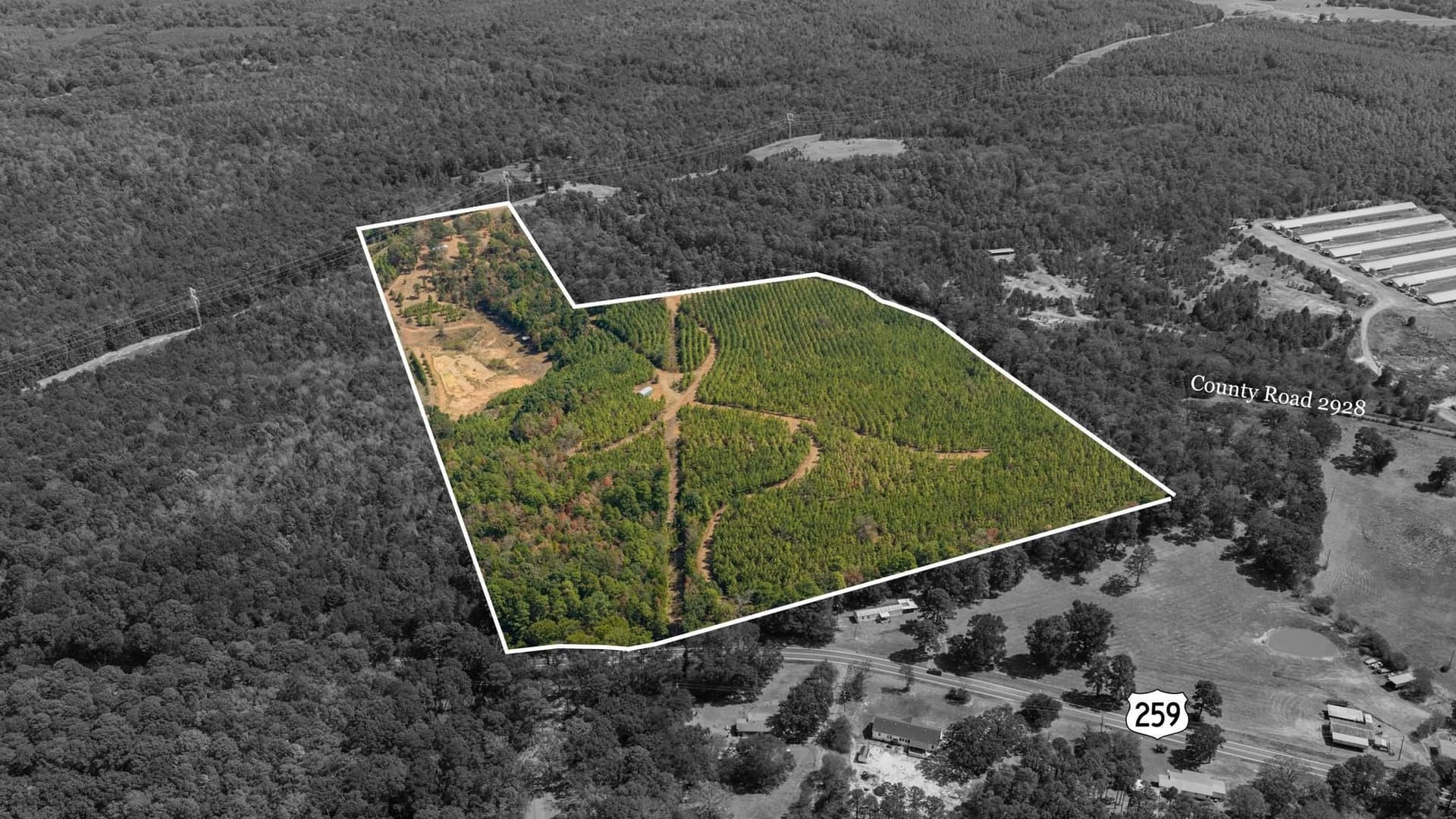 37.11 acres in Cass County - photo 39