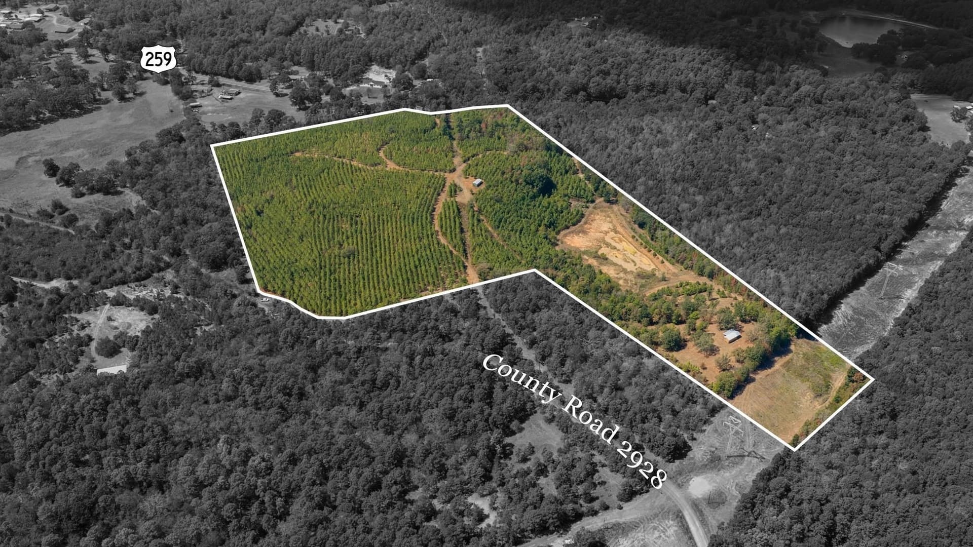 37.11 acres in Cass County - photo 10