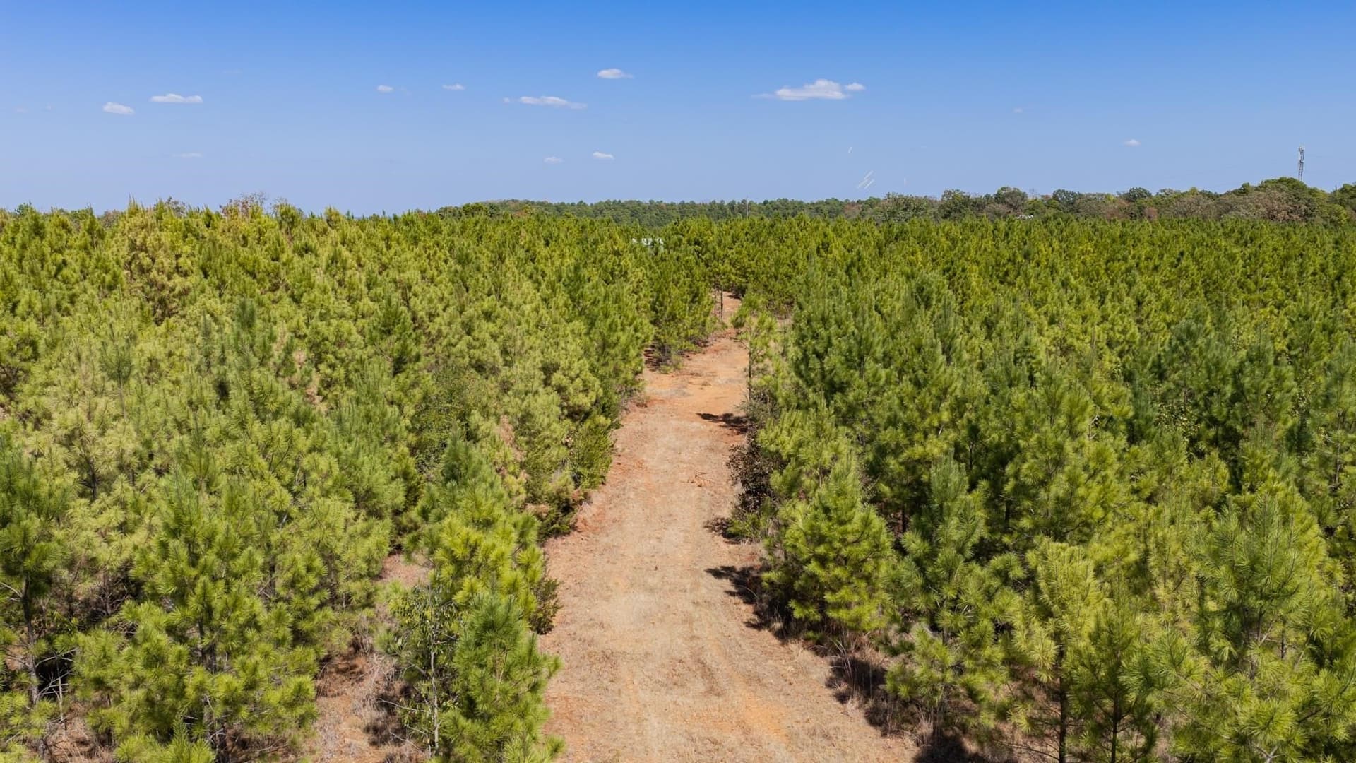 37.11 acres in Cass County - photo 30
