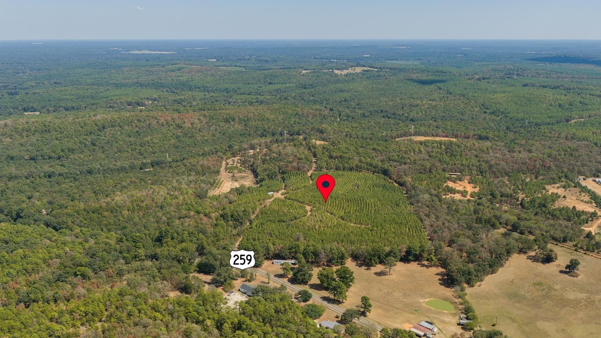 37.11 acres in Cass County - photo 38