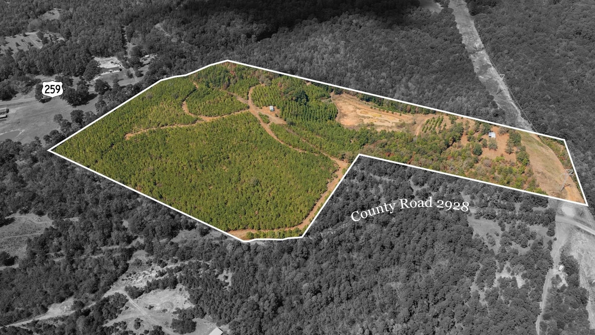 37.11 acres in Cass County - photo 12