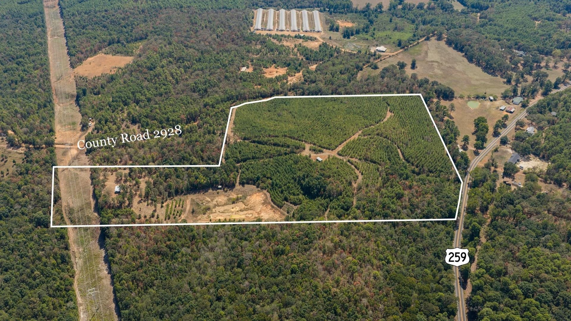 37.11 acres in Cass County - photo 9