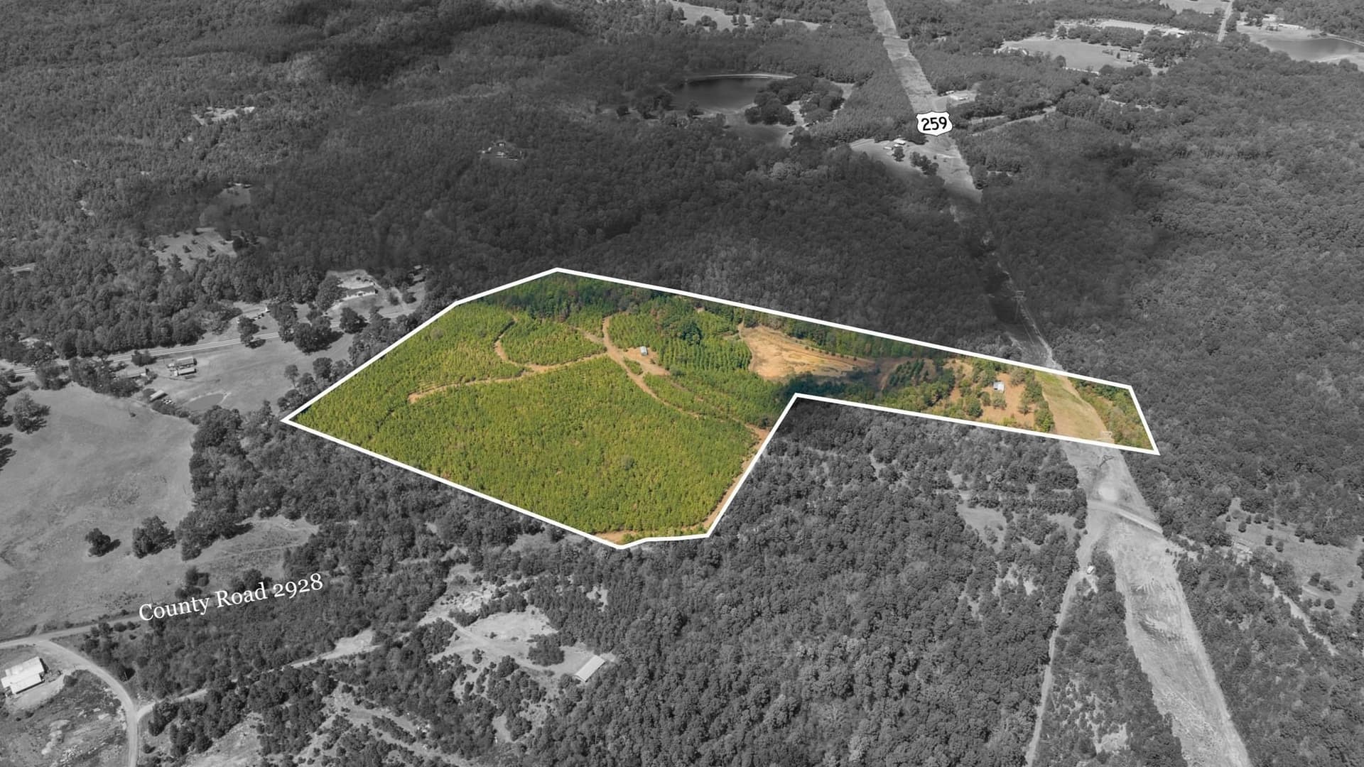37.11 acres in Cass County - photo 16