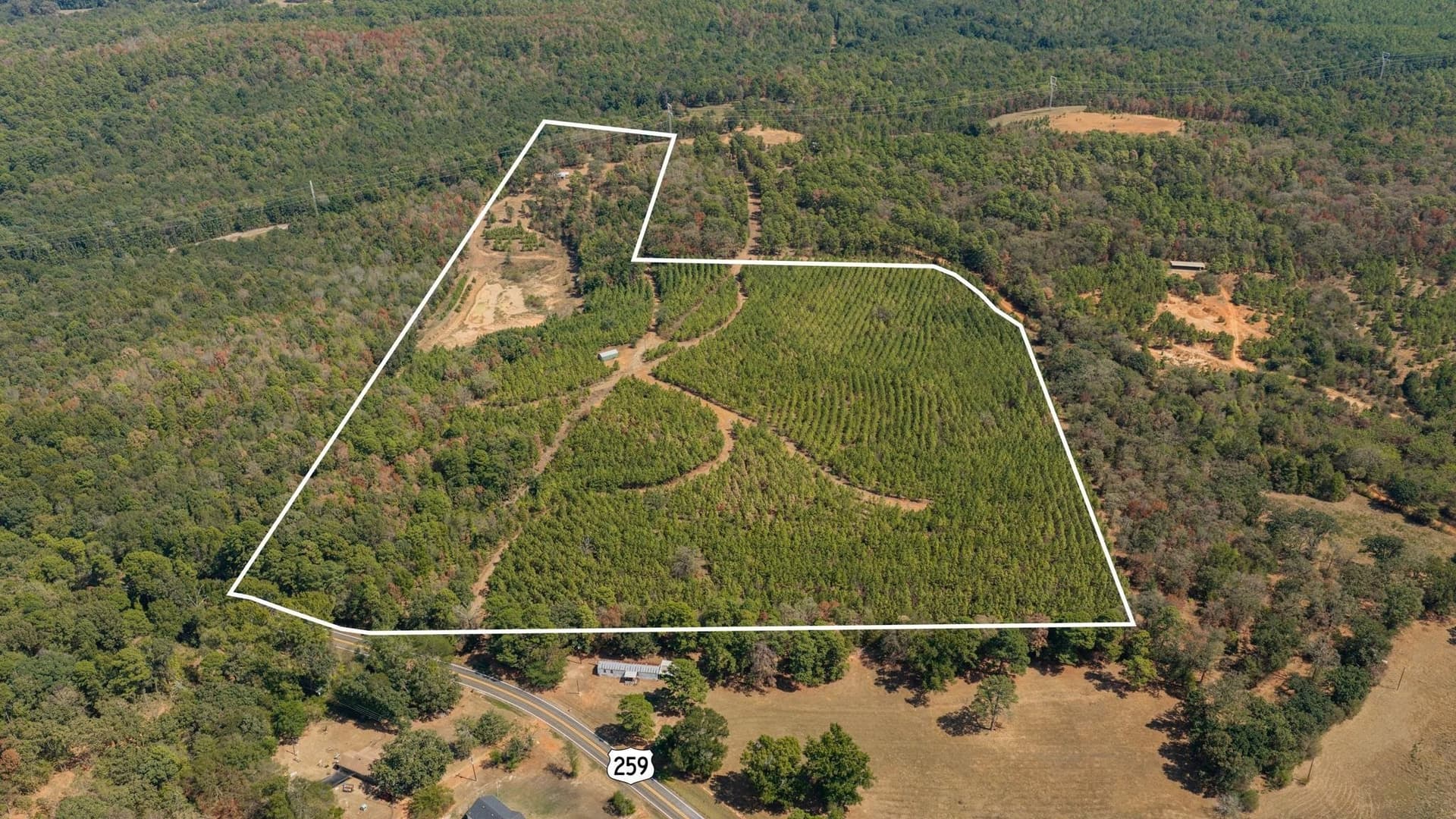 37.11 acres in Cass County - photo 37