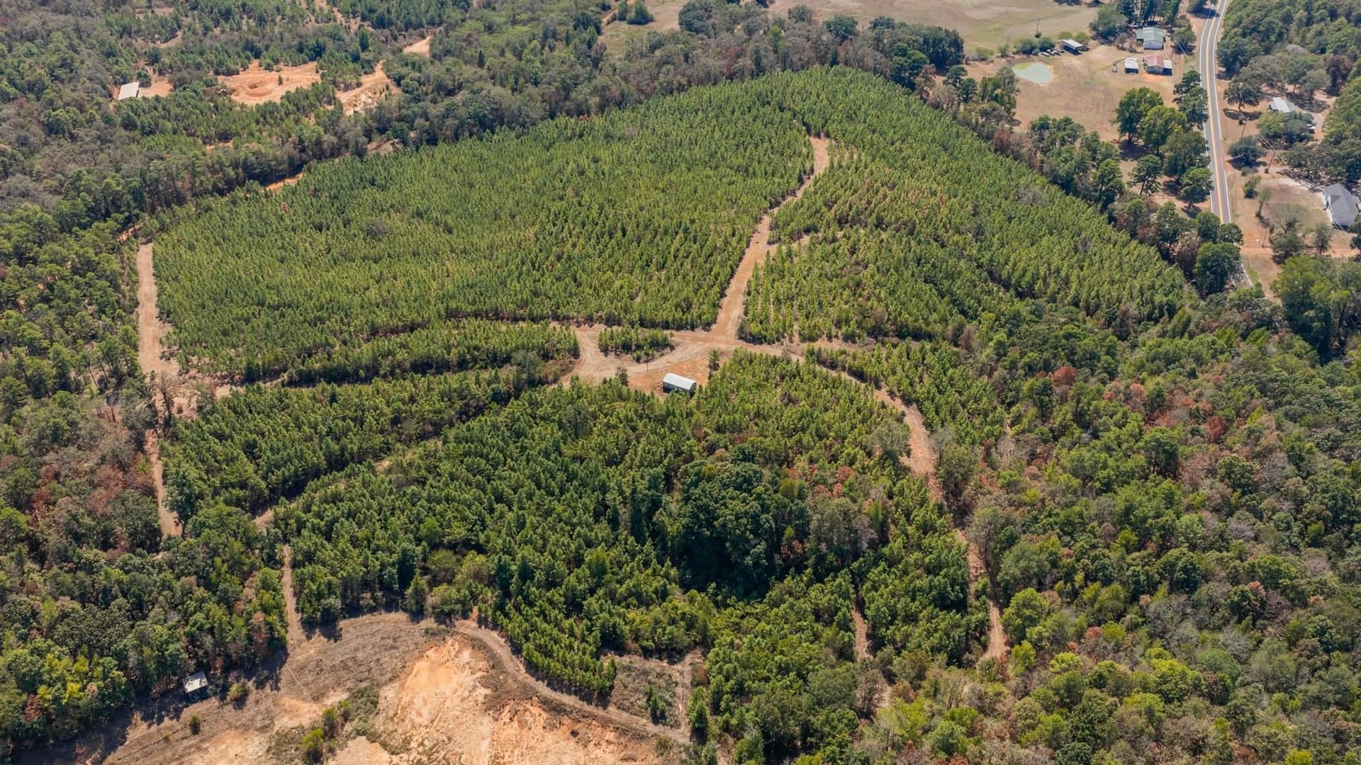 37.11 acres in Cass County - photo 2