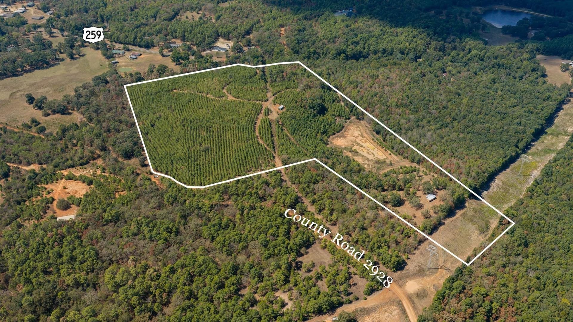 37.11 acres in Cass County - photo 11