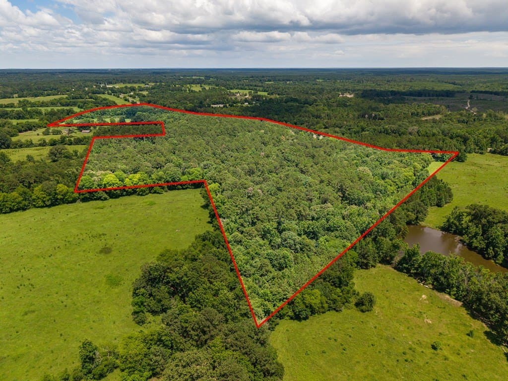 53.02 acres in Texas County featured view