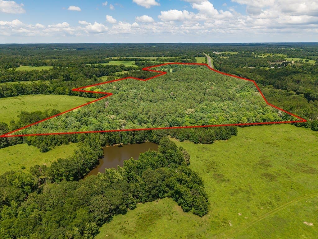 53.02 acres in Texas County gallery image 4