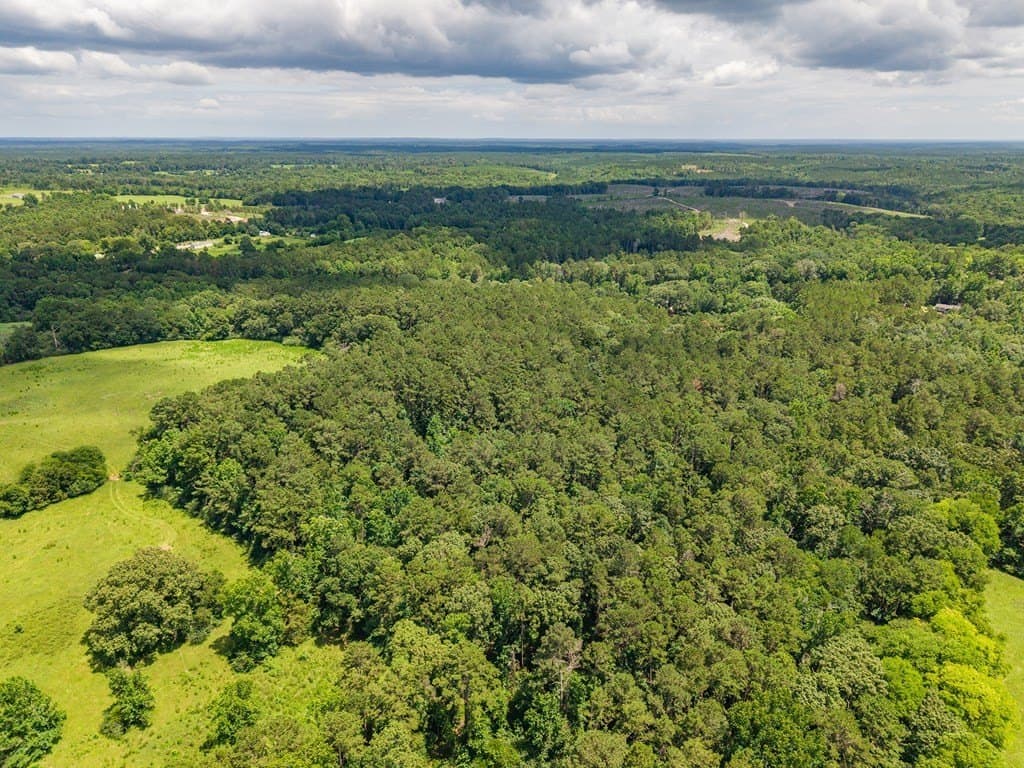 53.02 acres in Texas County - photo 6