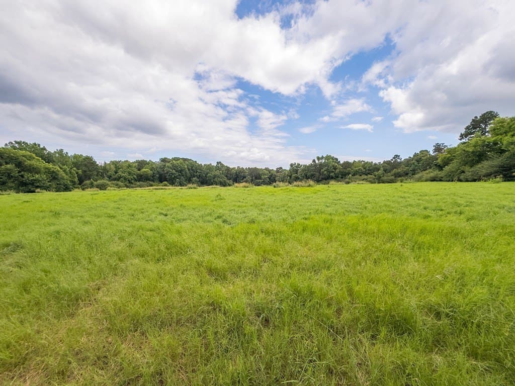 53.02 acres in Texas County - photo 7