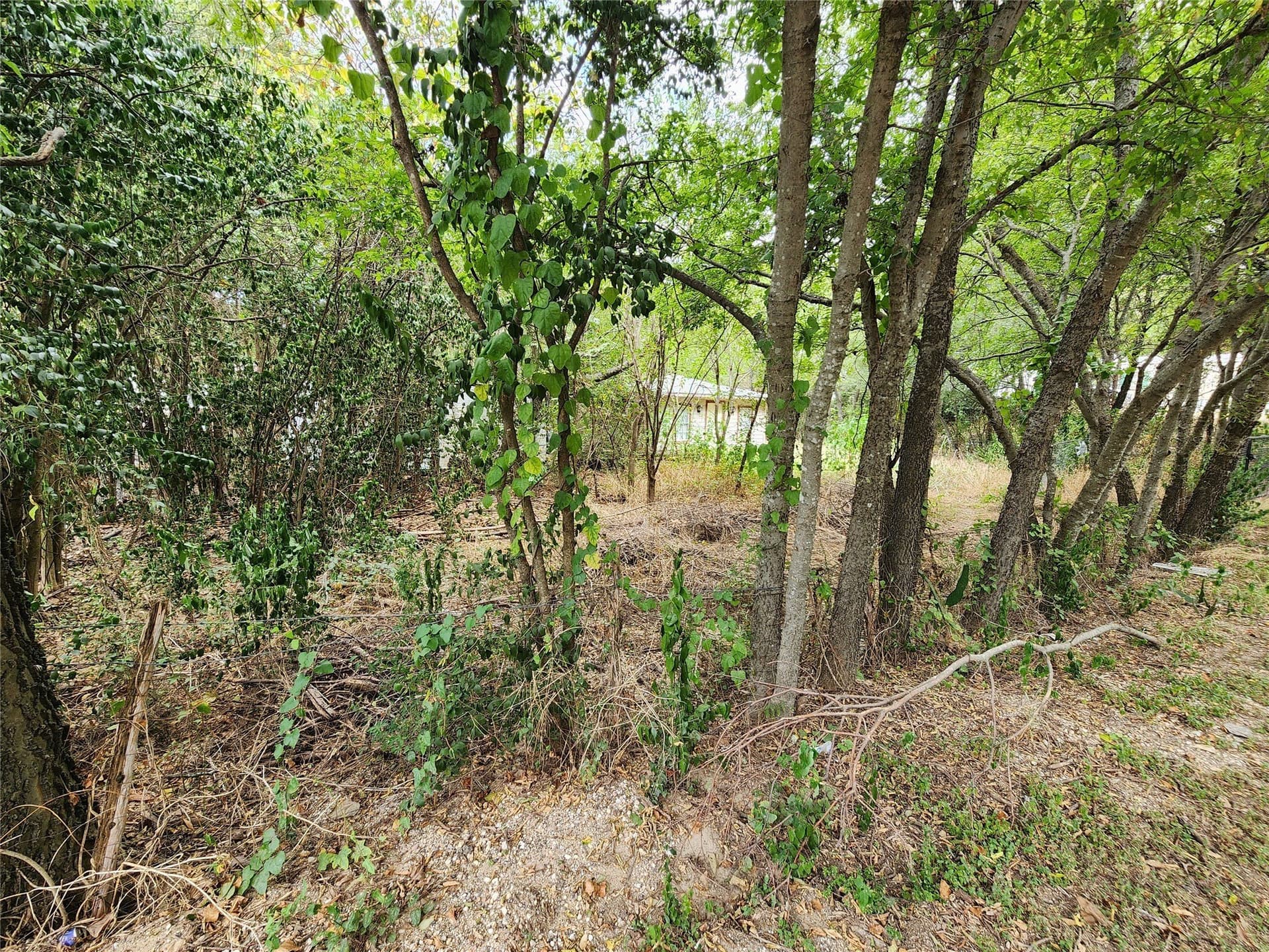 0.24 acres in Hill County - photo 8