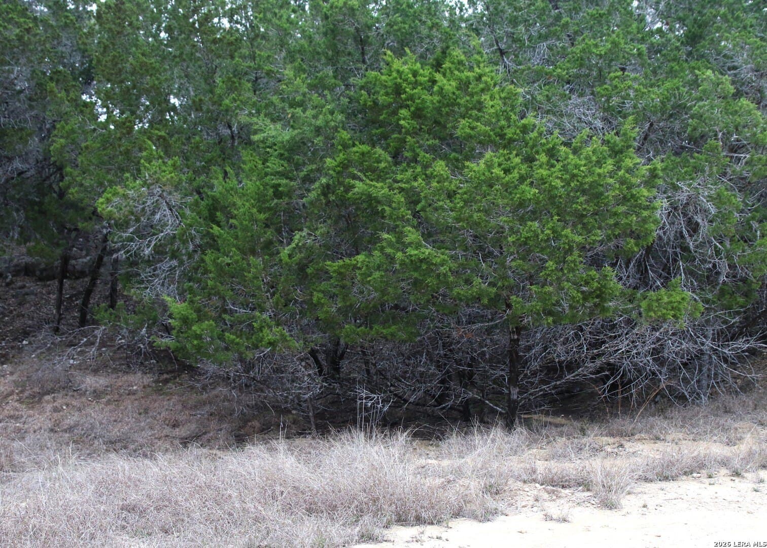 0.12 acres in Bandera County