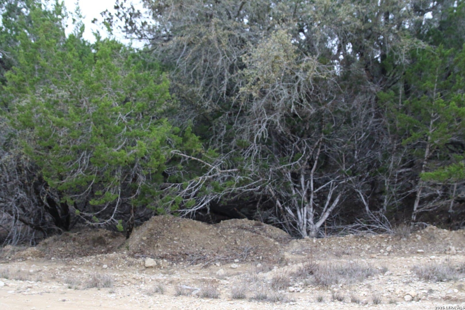 0.12 acres in Bandera County gallery image 2