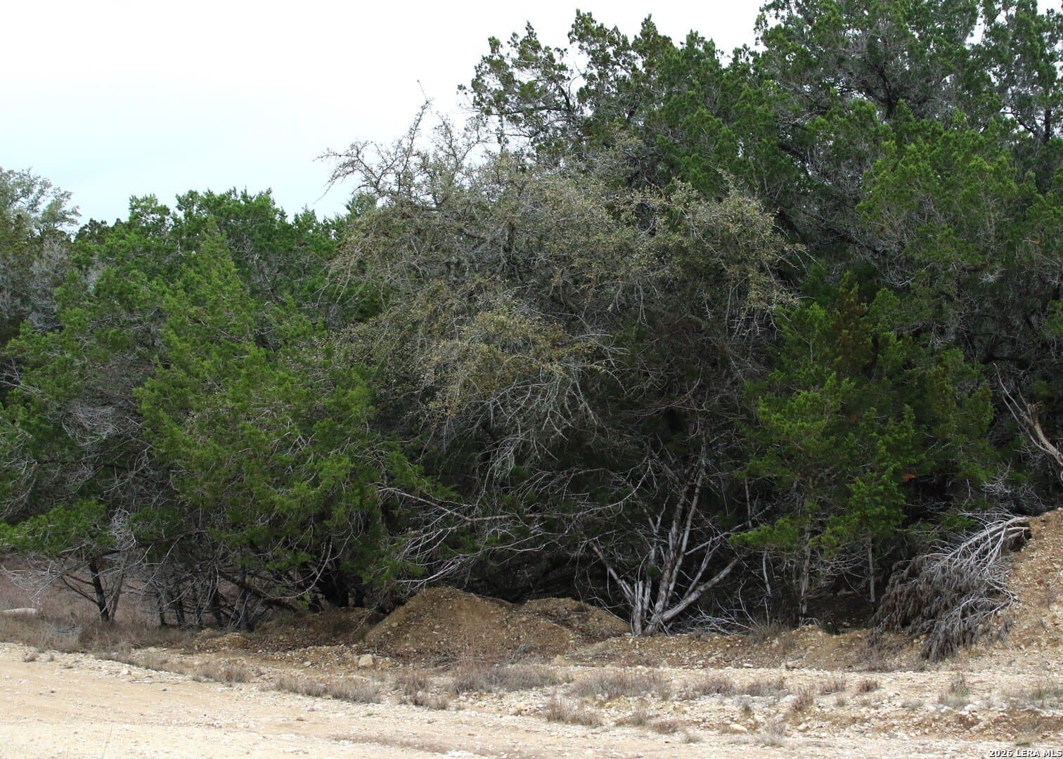 0.12 acres in Bandera County gallery image 3