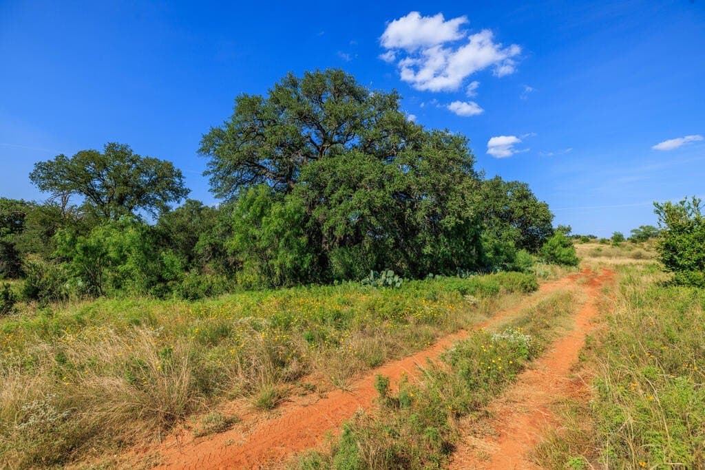 24 acres in Llano County - photo 12