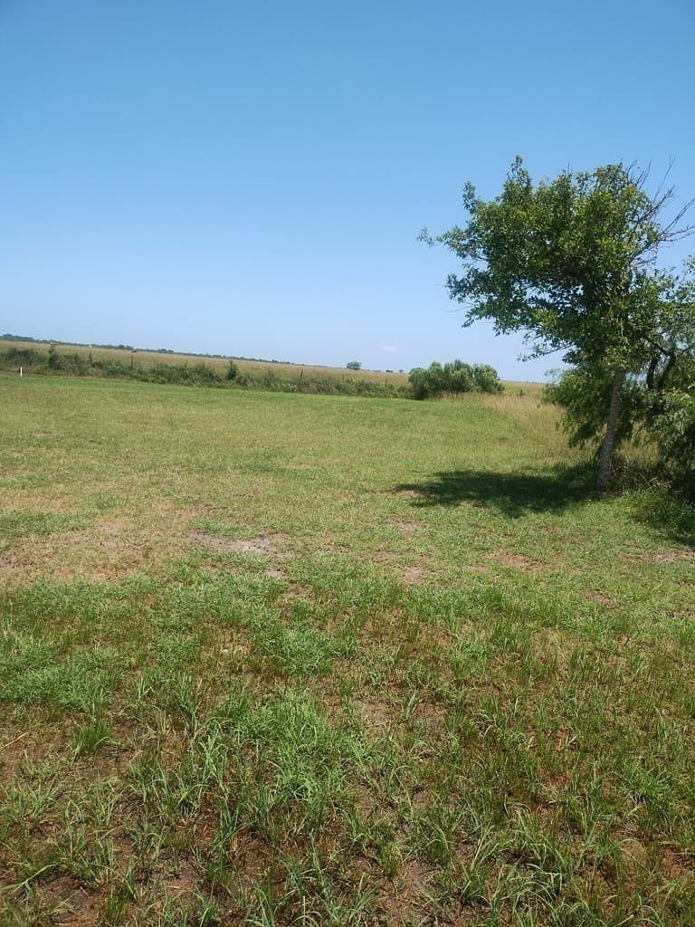 0.21 acres in Palacios Area County gallery image 3