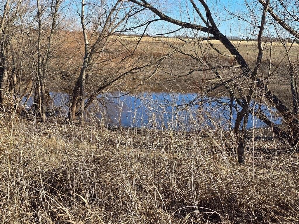 50 acres in Grayson County featured view