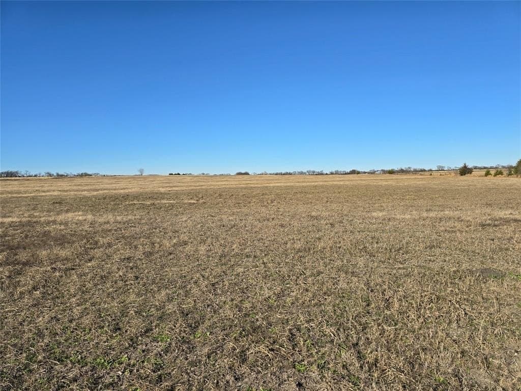 50 acres in Grayson County gallery image 4