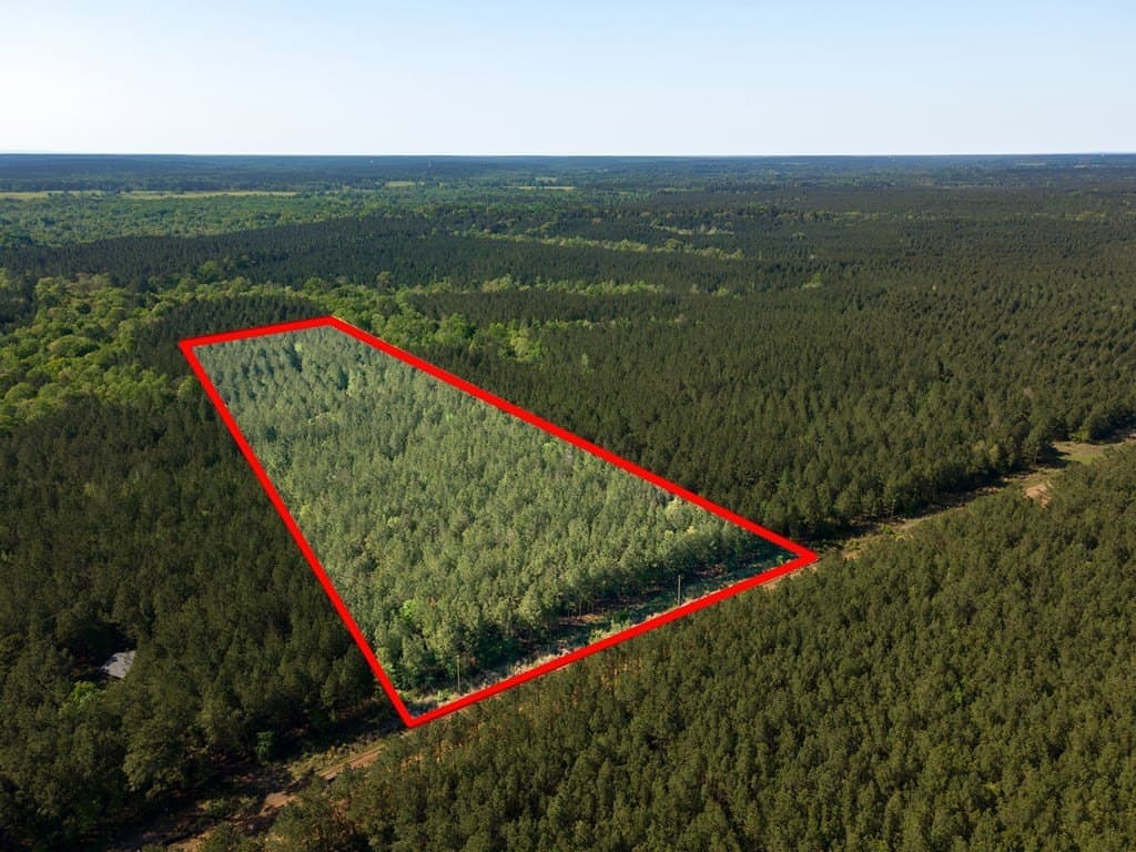 12 acres in Texas County featured view