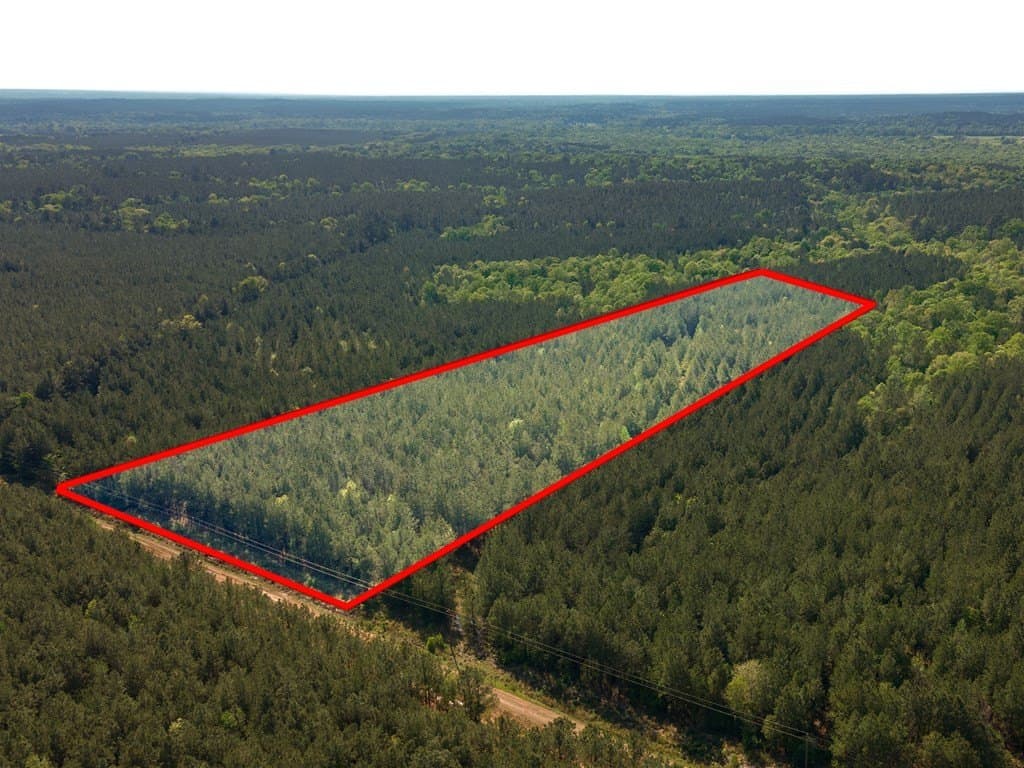 12 acres in Texas County gallery image 4