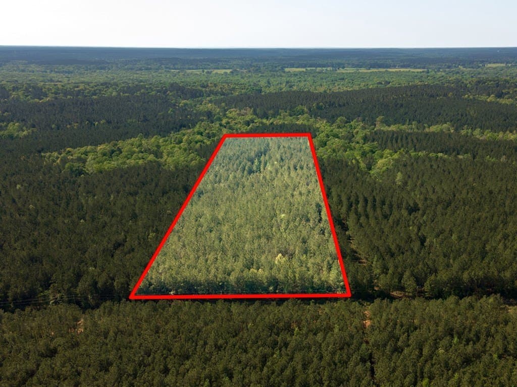12 acres in Texas County gallery image 3