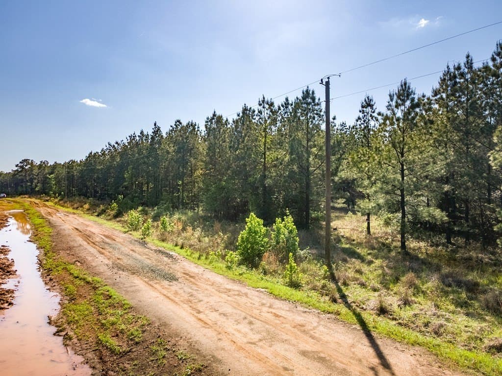 12 acres in Texas County gallery image 2