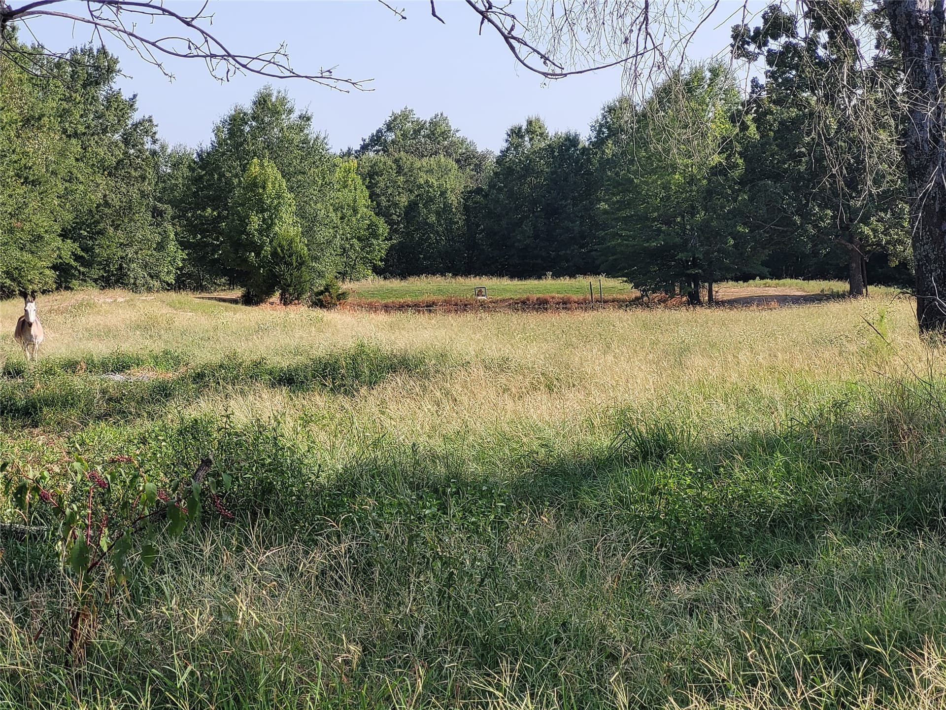 12.79 acres in Lamar County - photo 25
