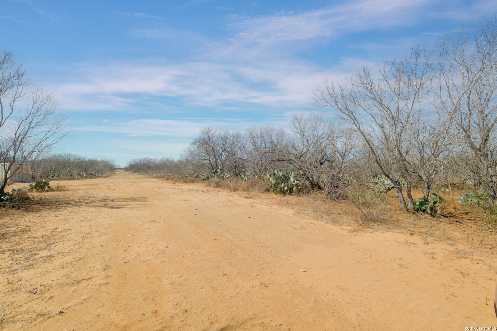 17.7 acres in Frio County gallery image 4