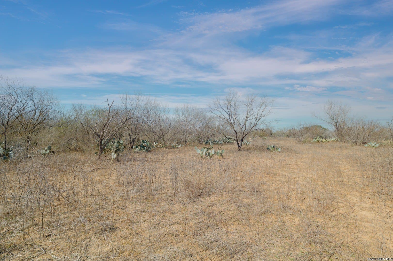 17.7 acres in Frio County - photo 14
