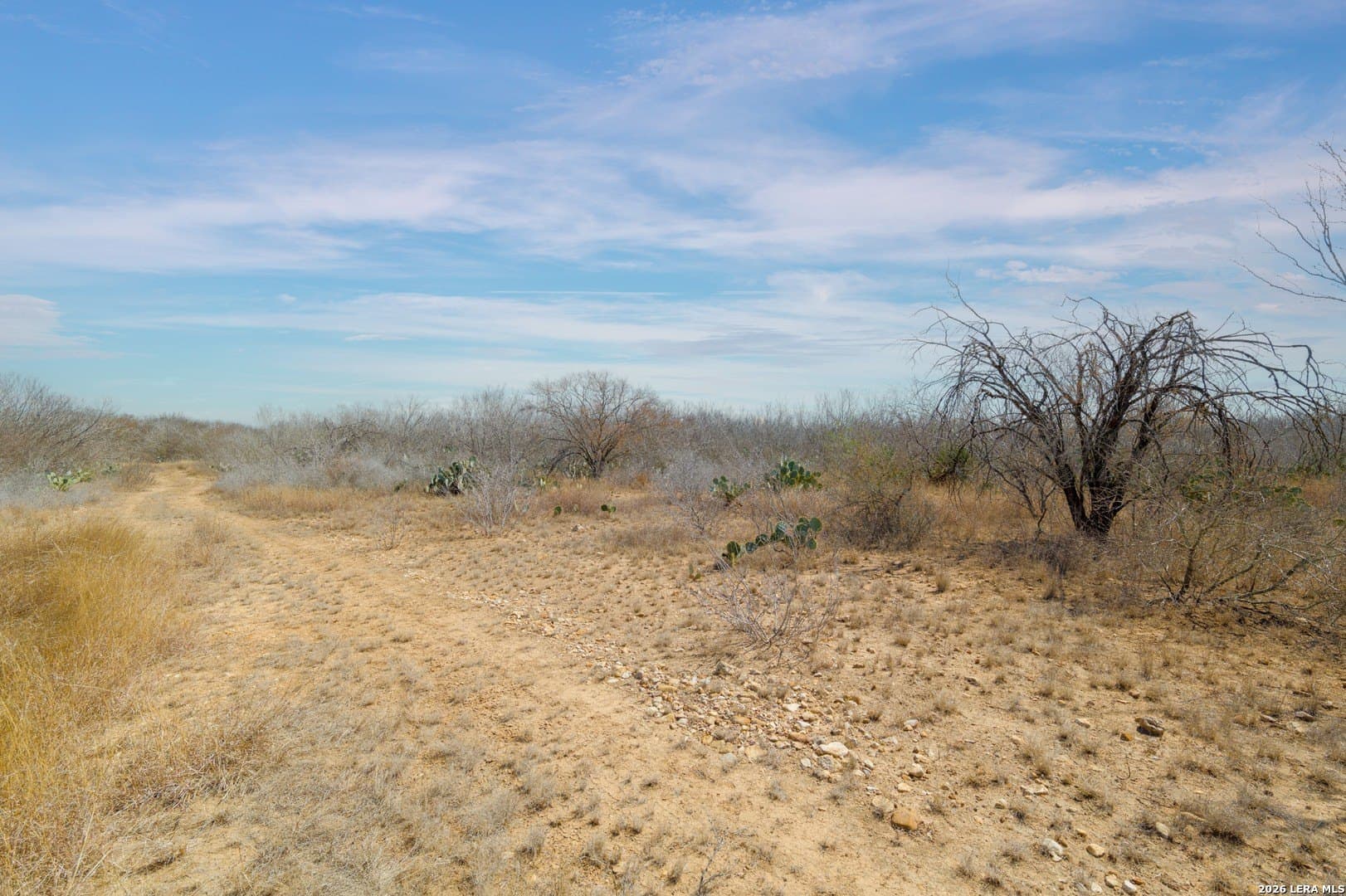 17.7 acres in Frio County - photo 12