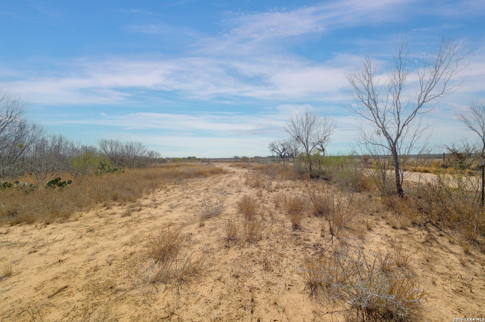 17.7 acres in Frio County - photo 9