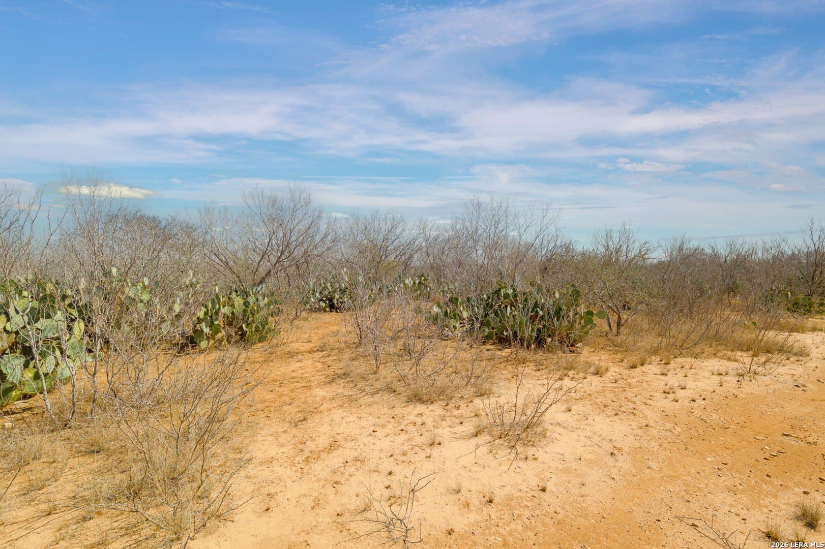 17.7 acres in Frio County - photo 10