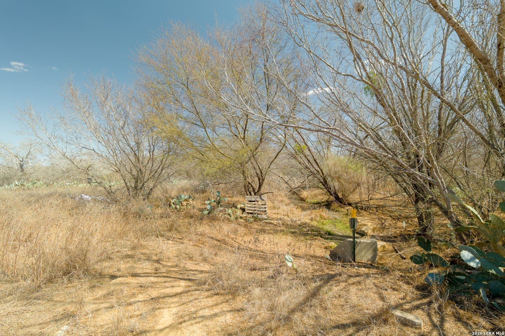 17.7 acres in Frio County - photo 13