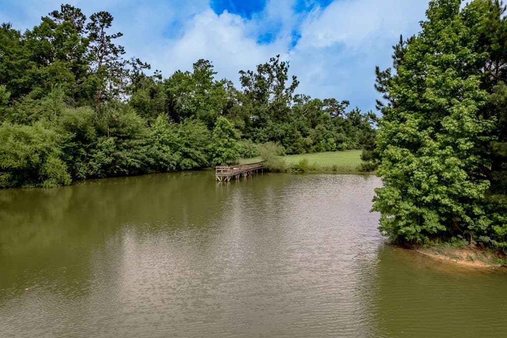 41 acres in Texas County gallery image 3