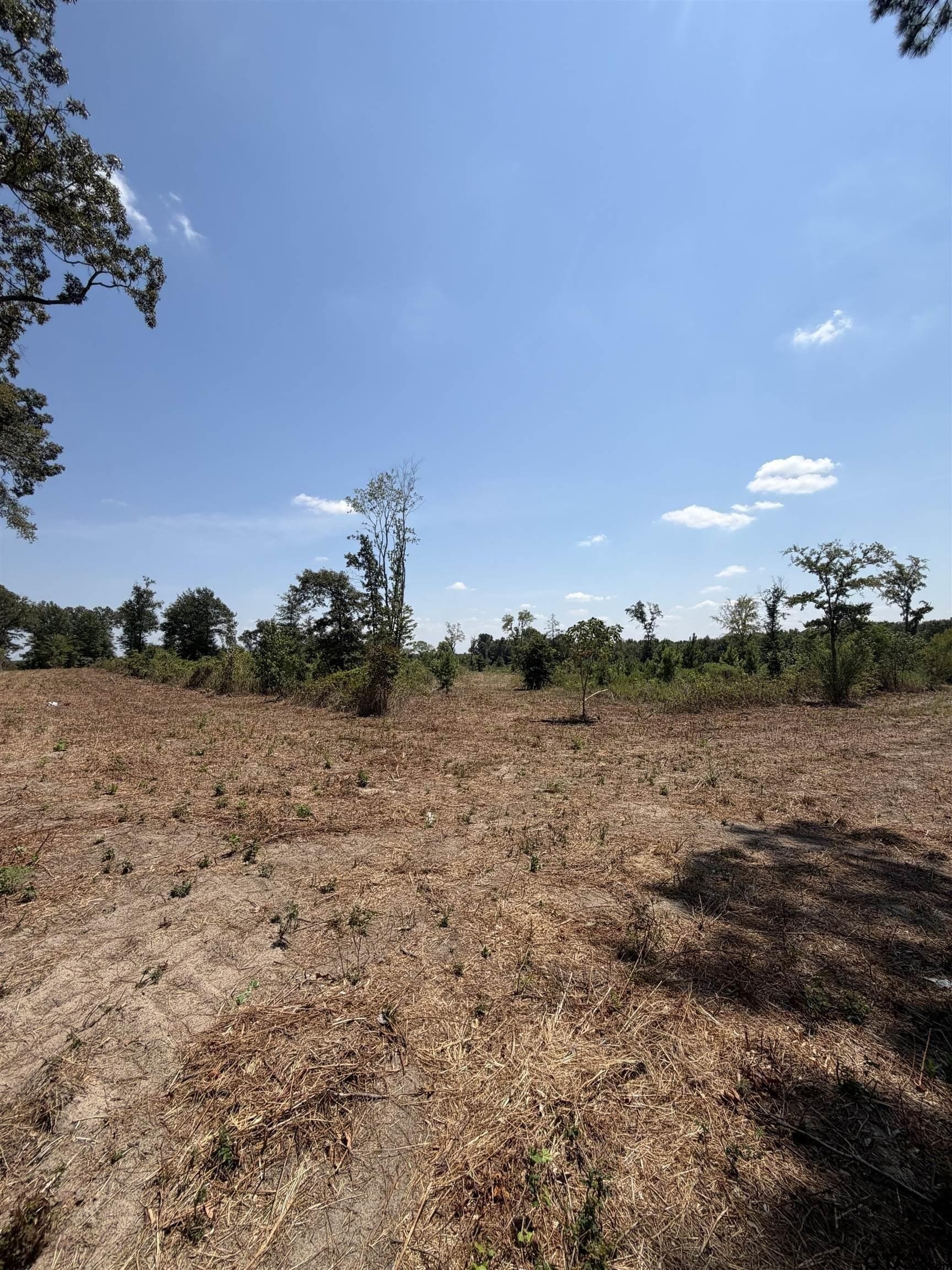 10.02 acres in Smith County - photo 5