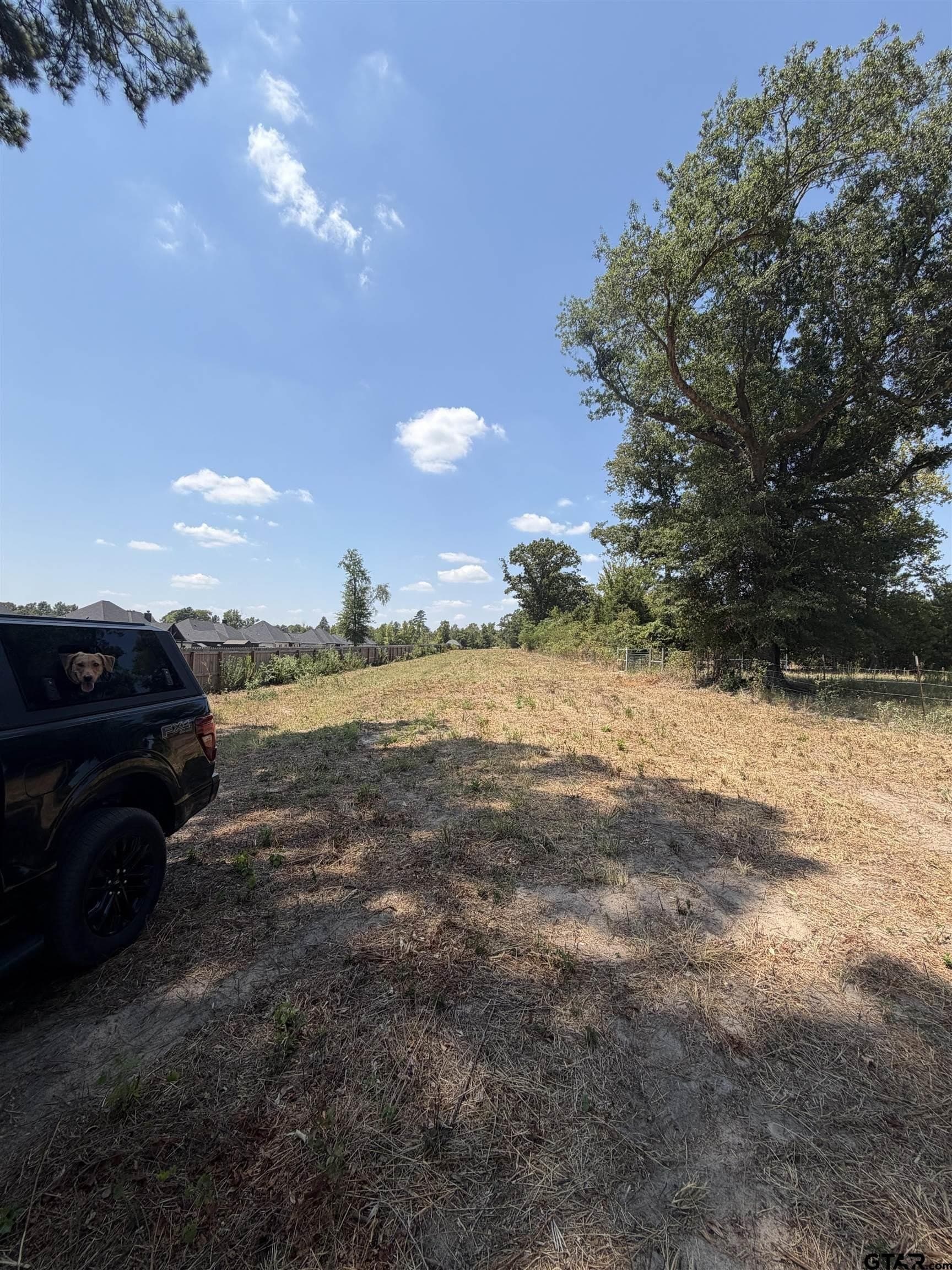 10.02 acres in Smith County - photo 10