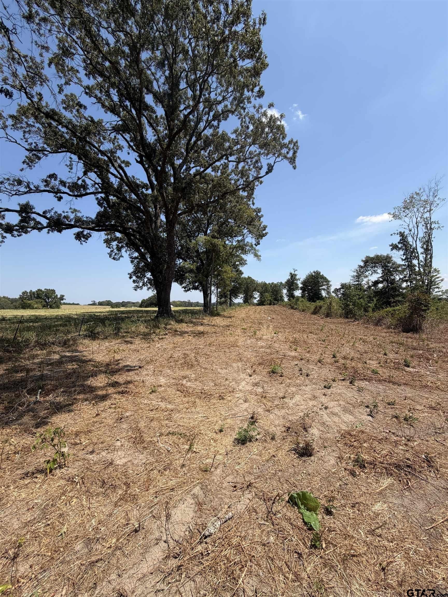 10.02 acres in Smith County - photo 4