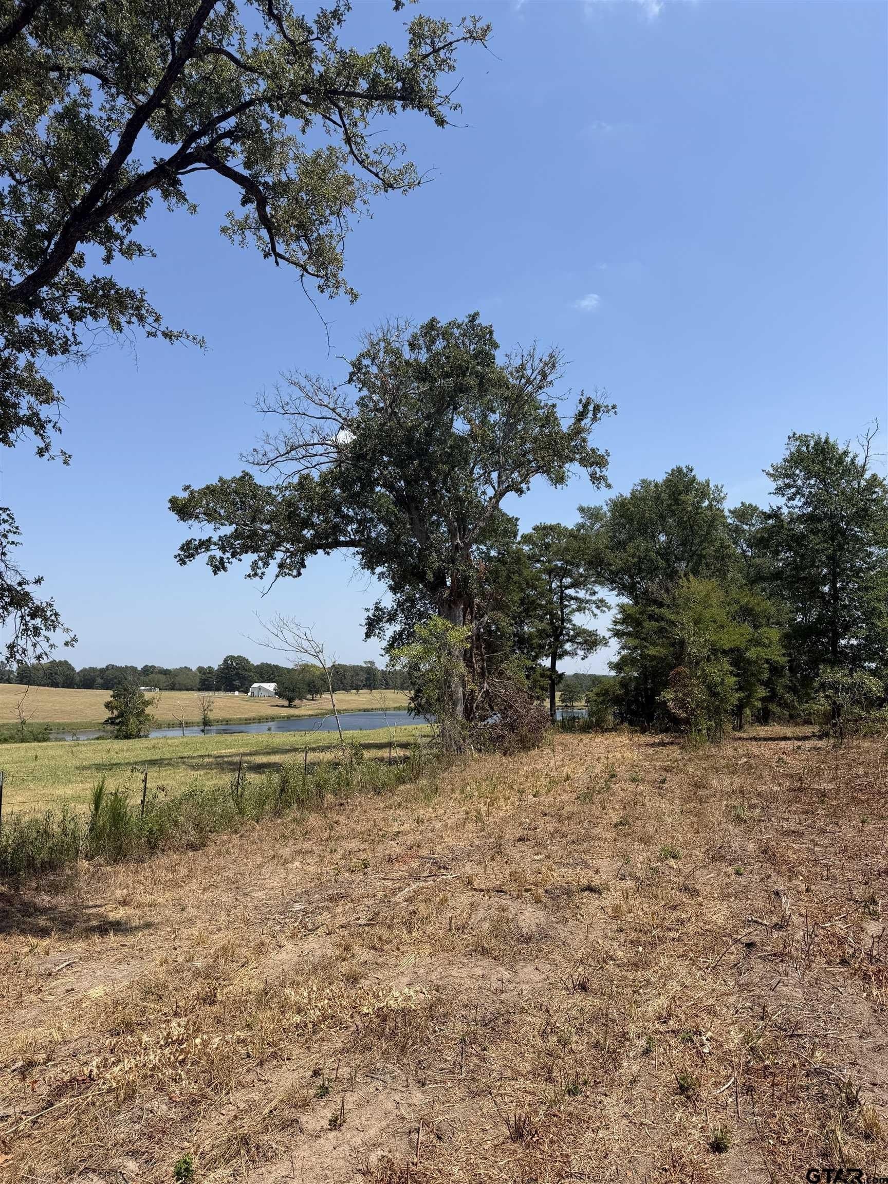 10.02 acres in Smith County - photo 11