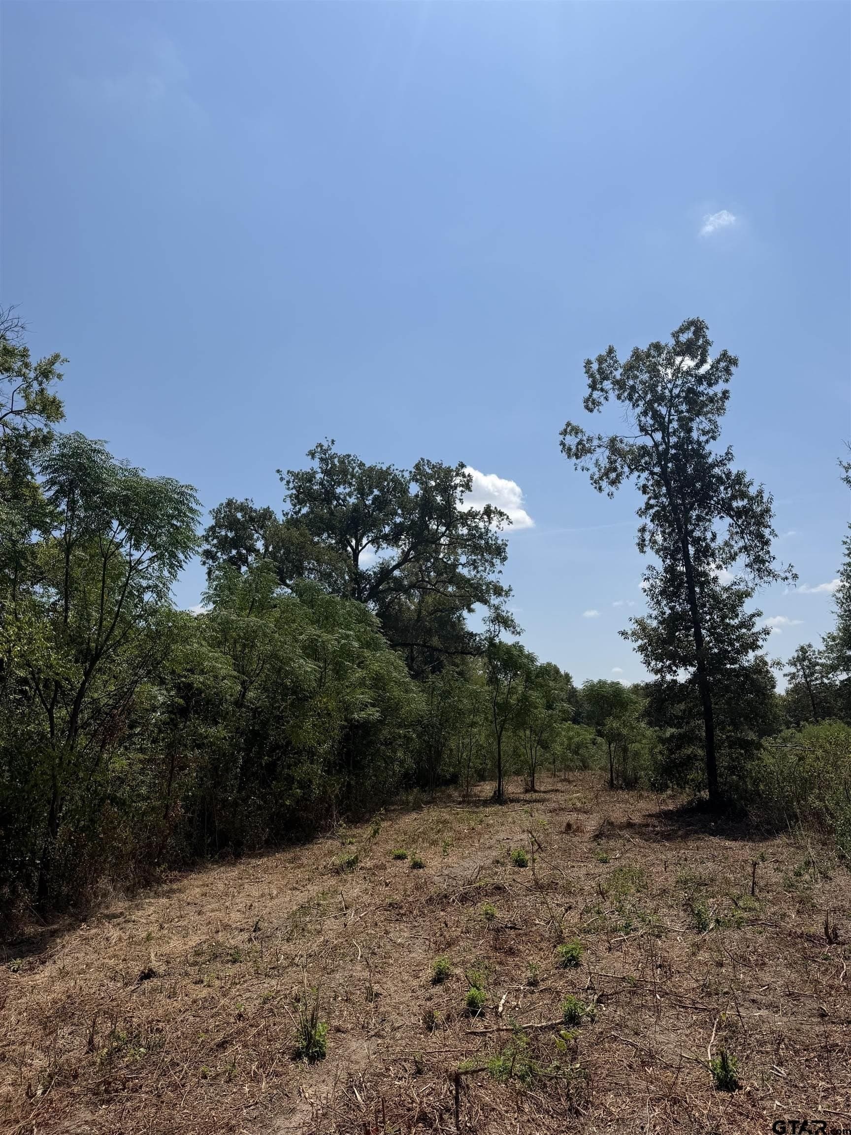 10.02 acres in Smith County - photo 12