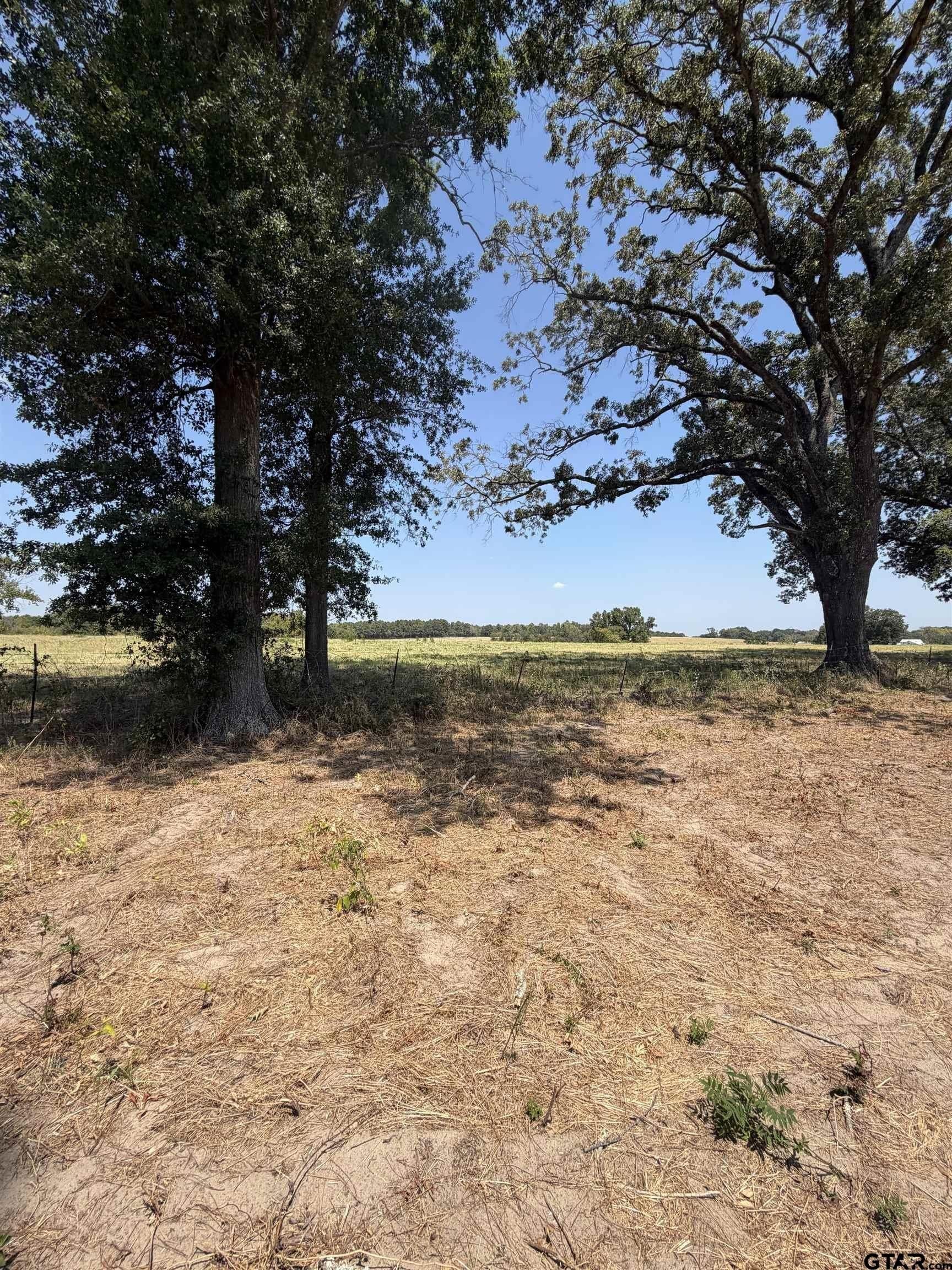 10.02 acres in Smith County - photo 8