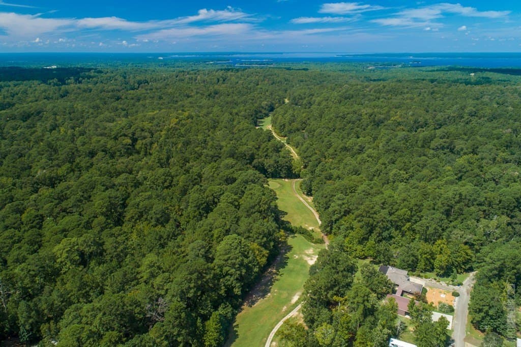 0.18 acres in Texas County - photo 12
