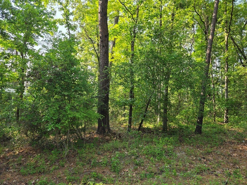 0.18 acres in Texas County - photo 11