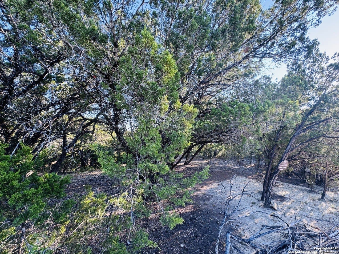 0.12 acres in Bandera County - photo 13
