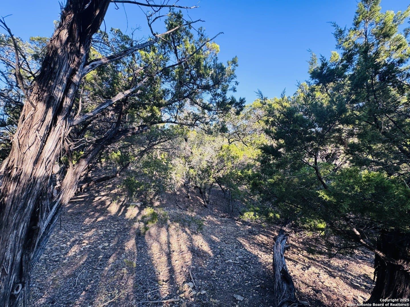 0.12 acres in Bandera County - photo 9