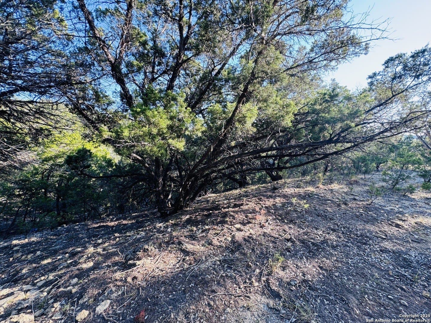 0.12 acres in Bandera County - photo 7