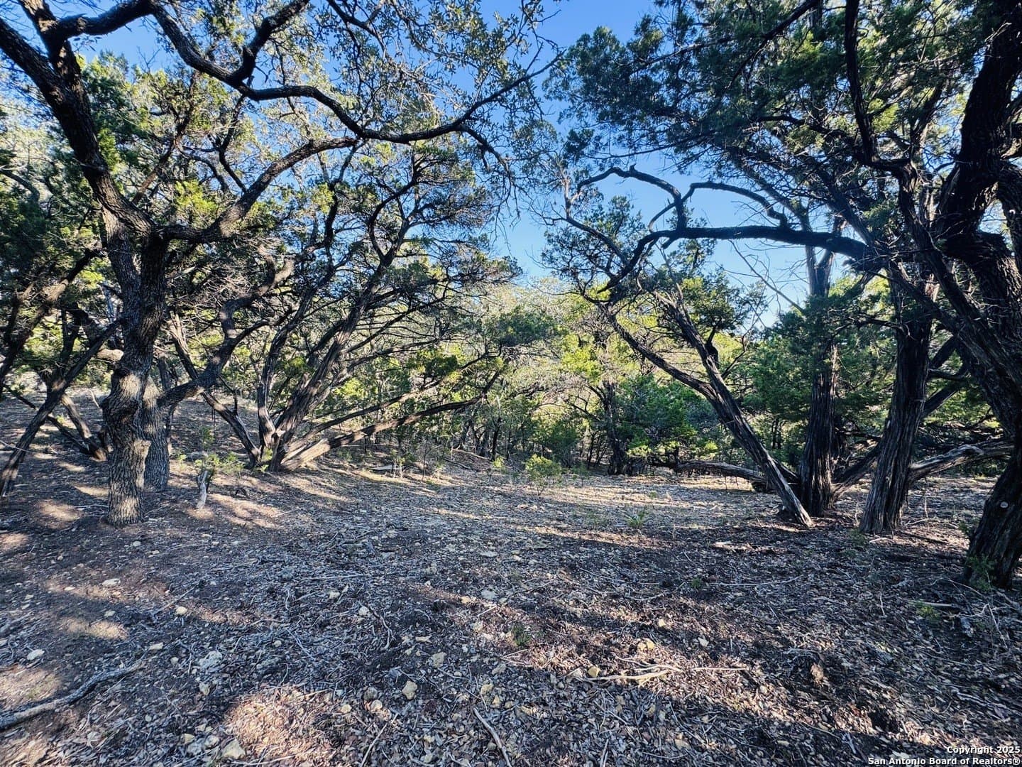 0.12 acres in Bandera County gallery image 4