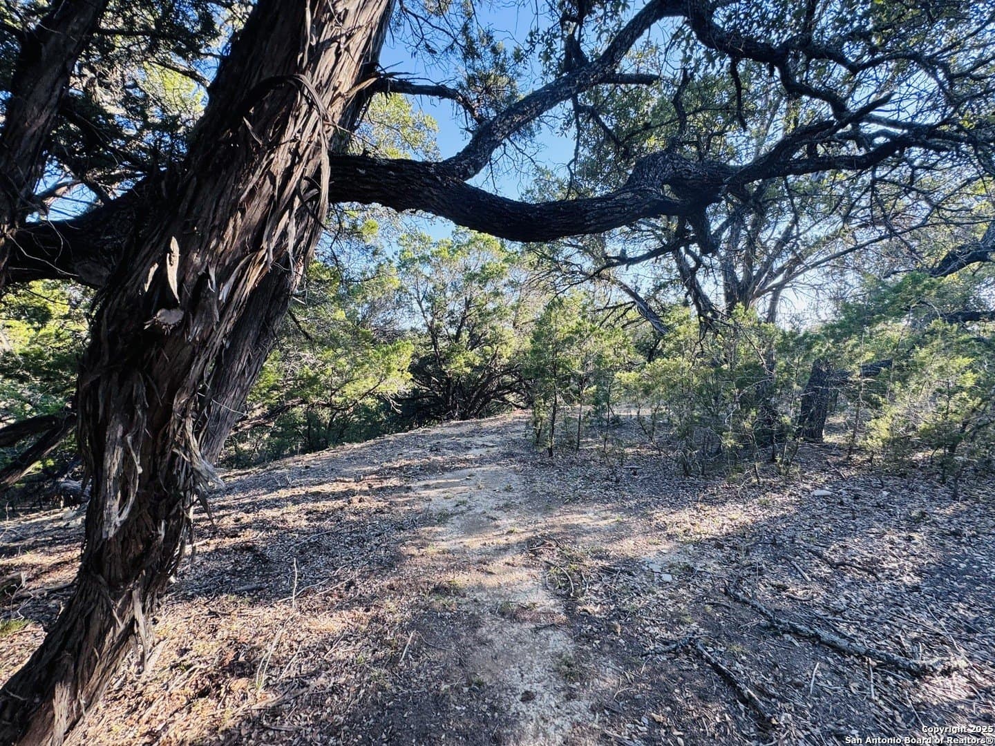 0.12 acres in Bandera County featured view