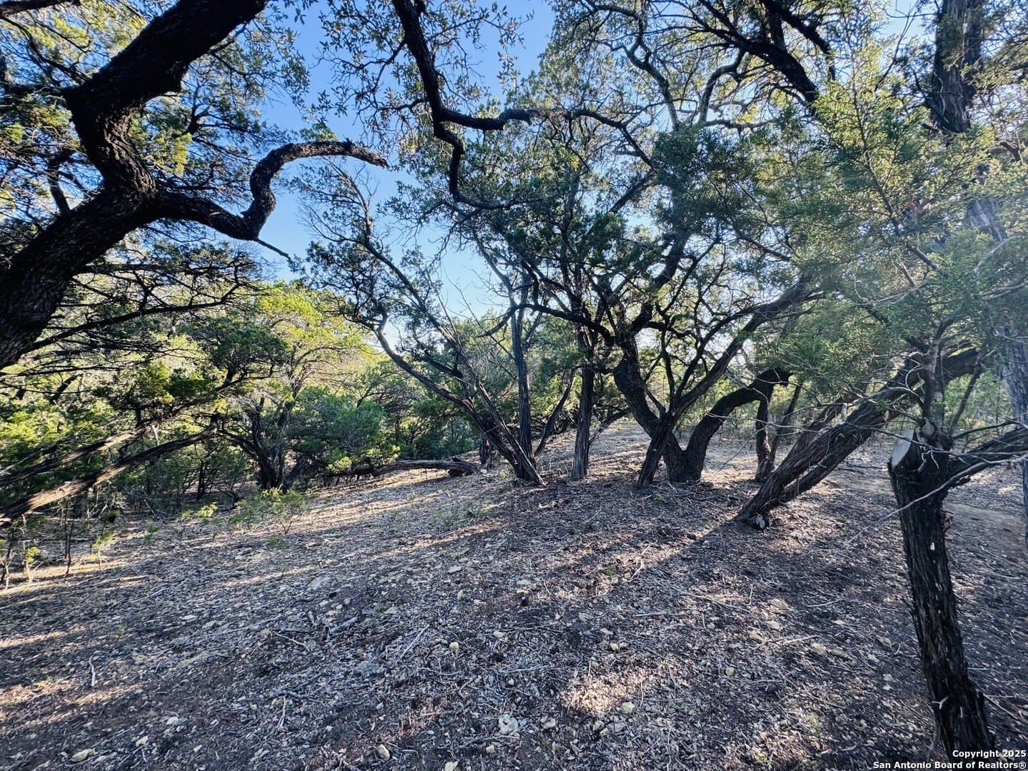 0.12 acres in Bandera County - photo 10